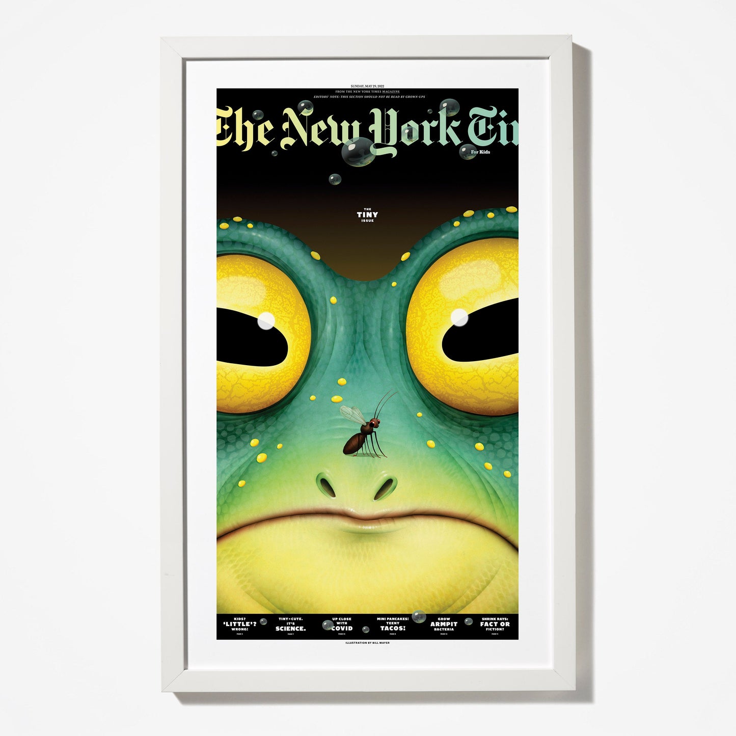 “The Tiny Issue” Framed Print