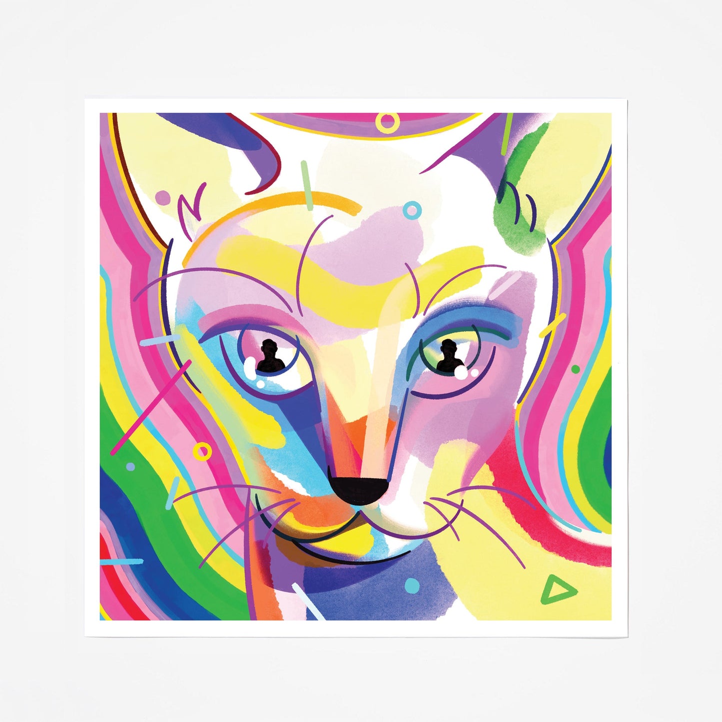 What's Going On Inside My Cat's Head?